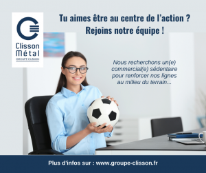 Commercial sédentaire négoce Commercial sédentaire négoce