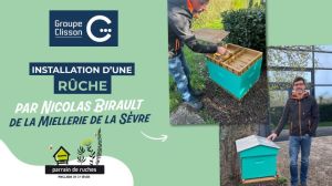 groupe clisson parrain de ruche
